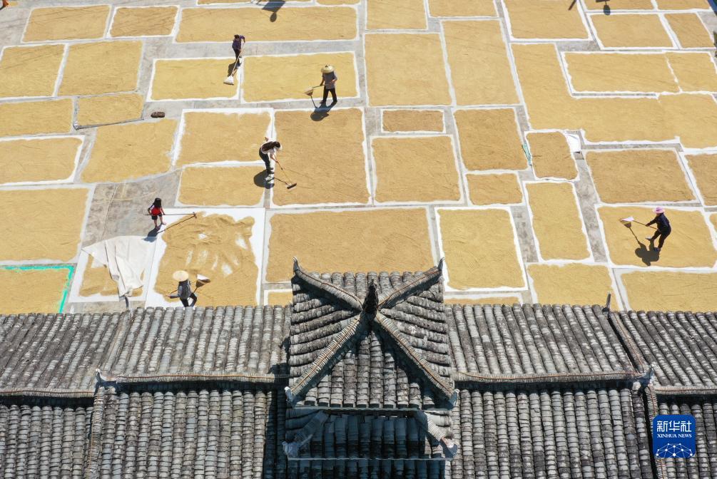 大发游戏